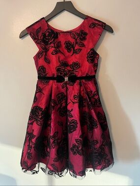 Girl’s Party Dress Roses w/ Shimmer Size 7 By Jona Michelle